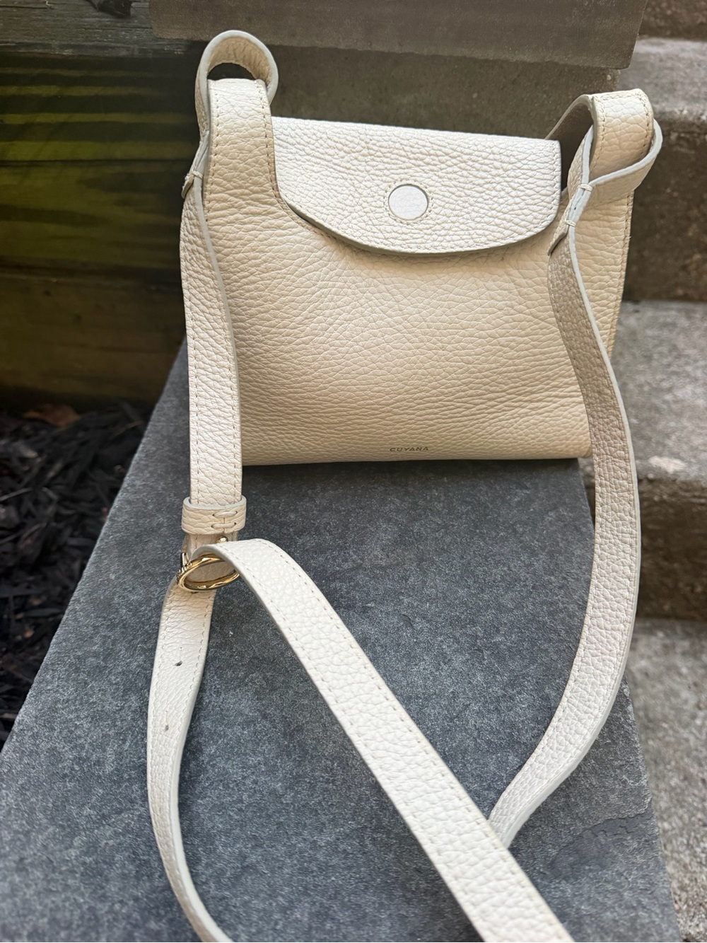 Stunning EUC pebbled leather Cuyana double loop mini bag.
